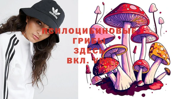 apvp Абаза