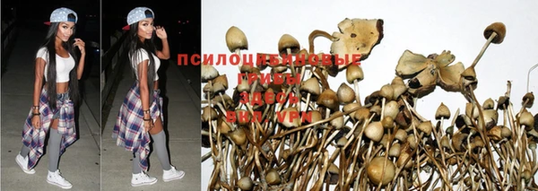 бутират Абинск