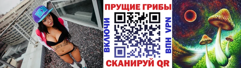 закладки  MEGA зеркало  Галлюциногенные грибы мицелий  Агрыз 